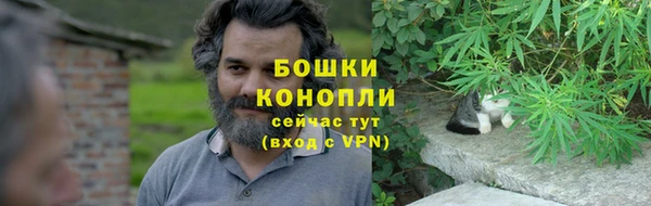прущие грибы Арсеньев