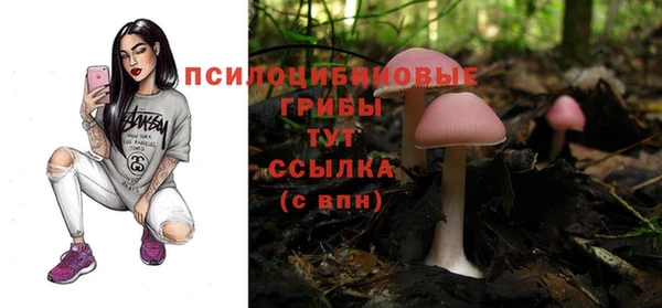 прущие грибы Арсеньев