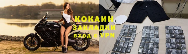 прущие грибы Арсеньев