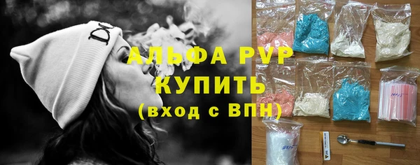 прущие грибы Арсеньев