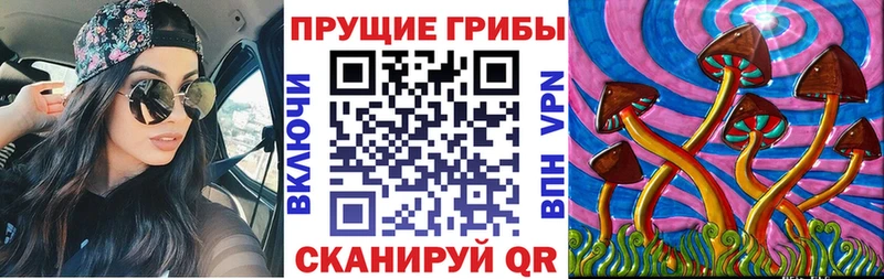закладка  Зубцов  Псилоцибиновые грибы Psilocybine cubensis 